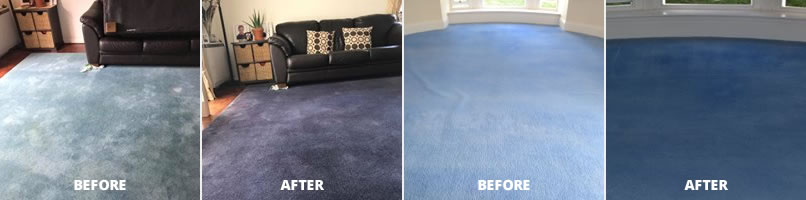 Trees Carpet Dyeing