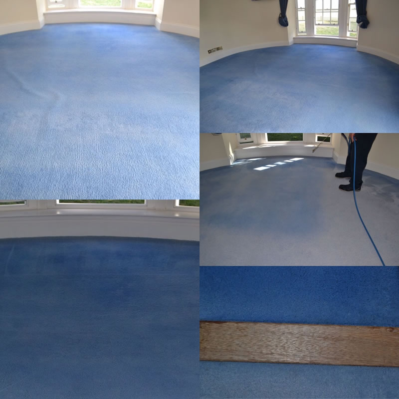 Trees Carpet Dyeing