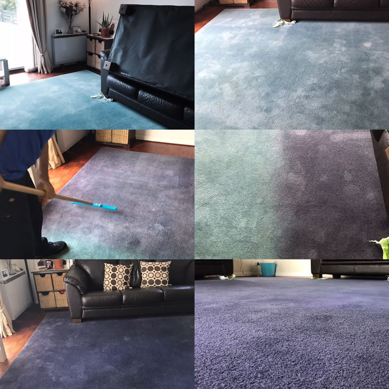 Trees Carpet Dyeing