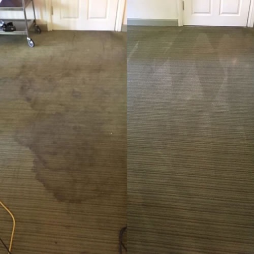 Trees Carpet Dyeing